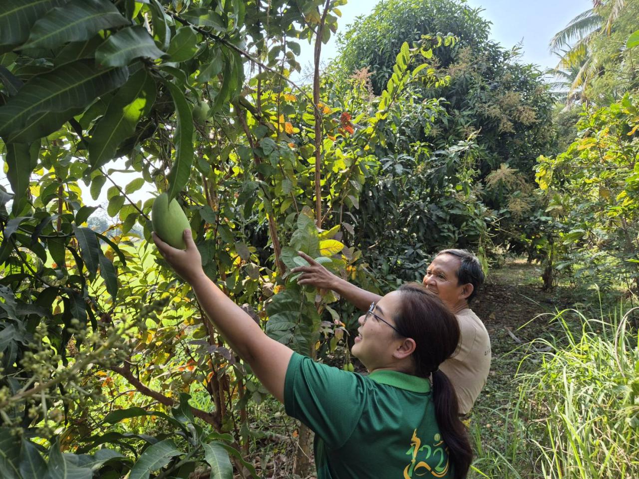 ภาพประกอบที่ 7