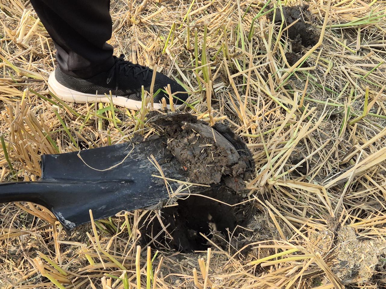 ภาพประกอบที่ 2