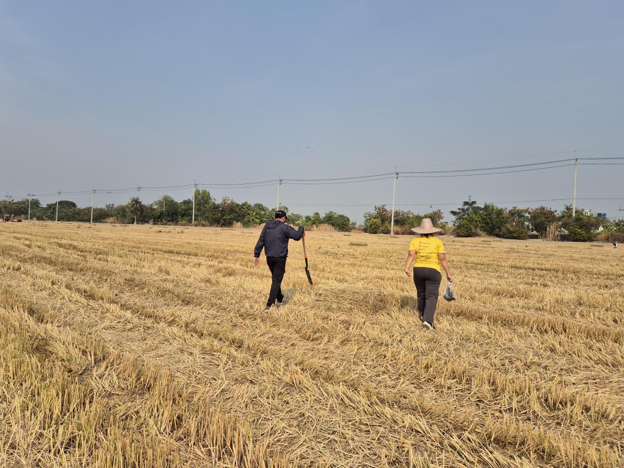 ภาพประกอบที่ 4