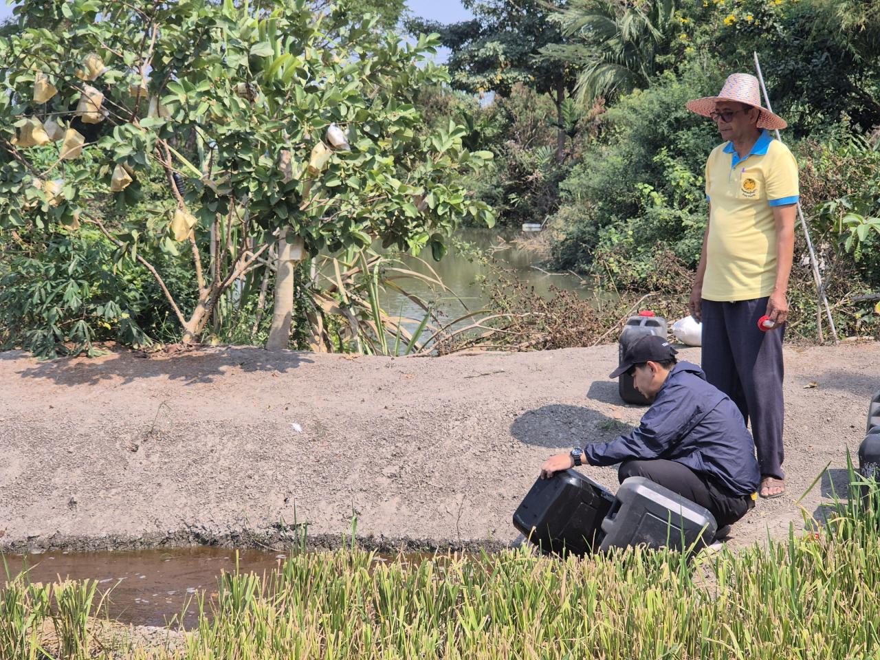 ภาพประกอบที่ 0