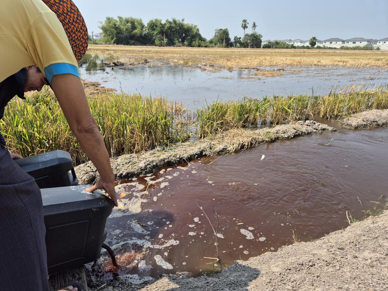 ภาพประกอบที่ 2