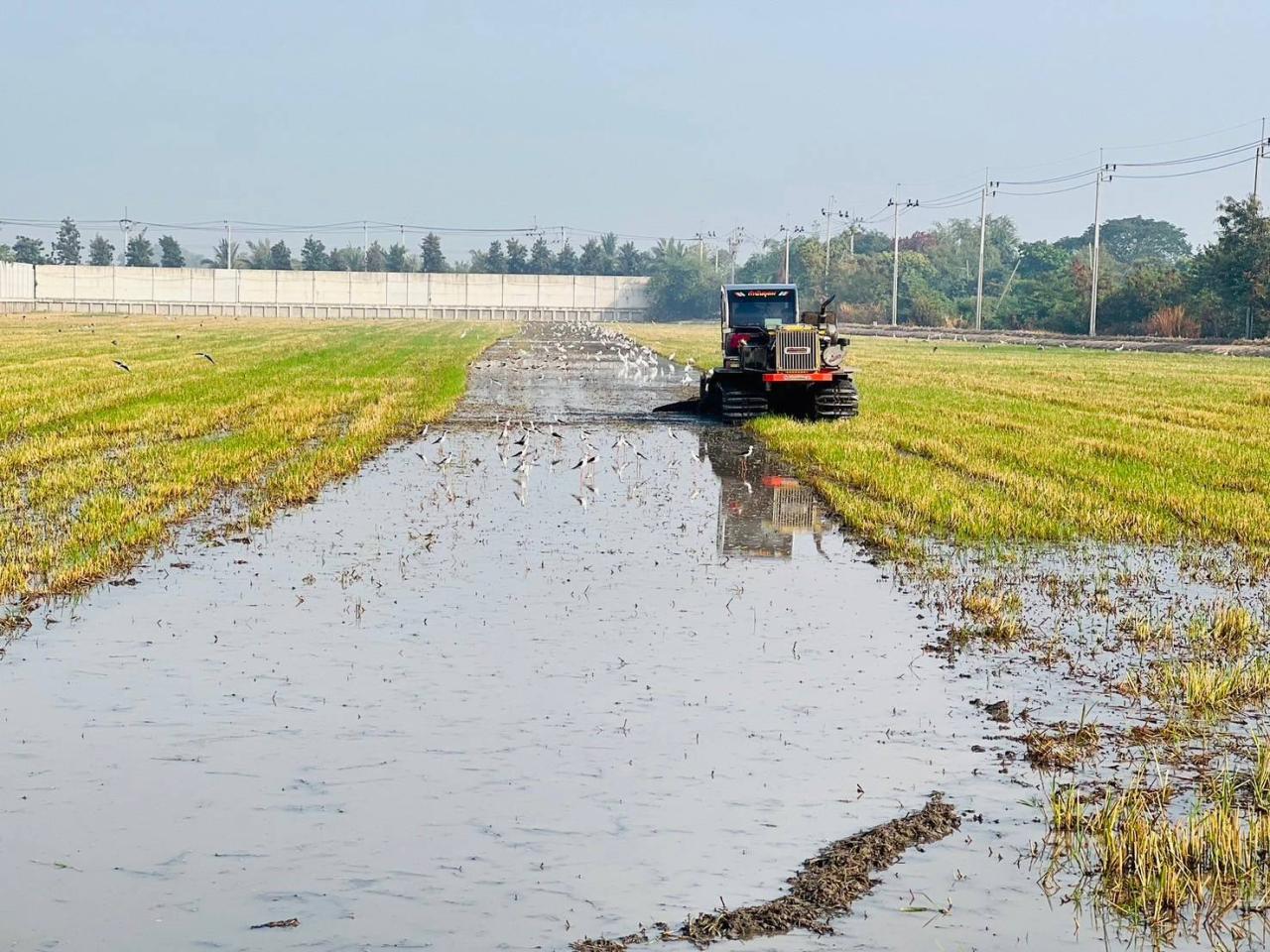ภาพประกอบที่ 5