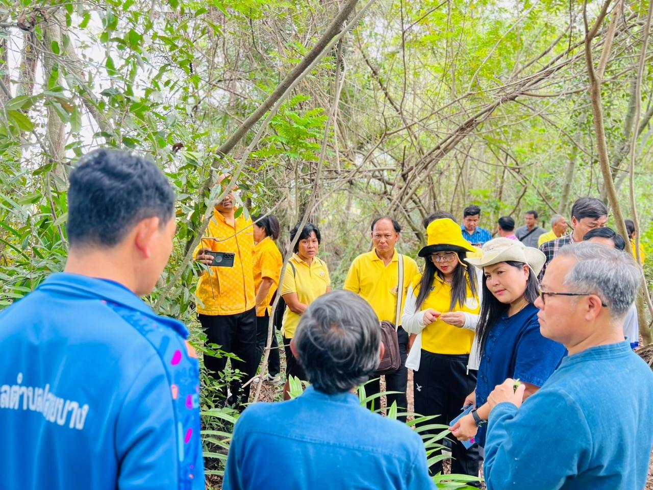 ภาพประกอบที่ 7