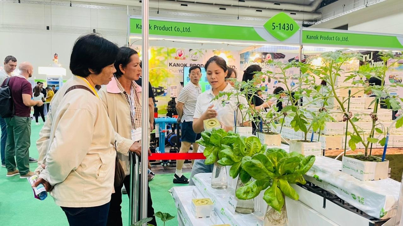 ภาพประกอบที่ 3