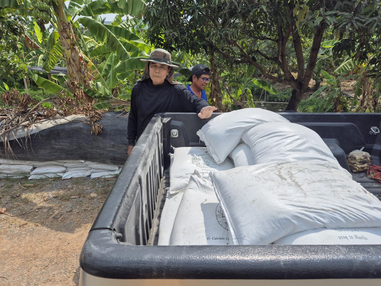 ภาพประกอบที่ 2