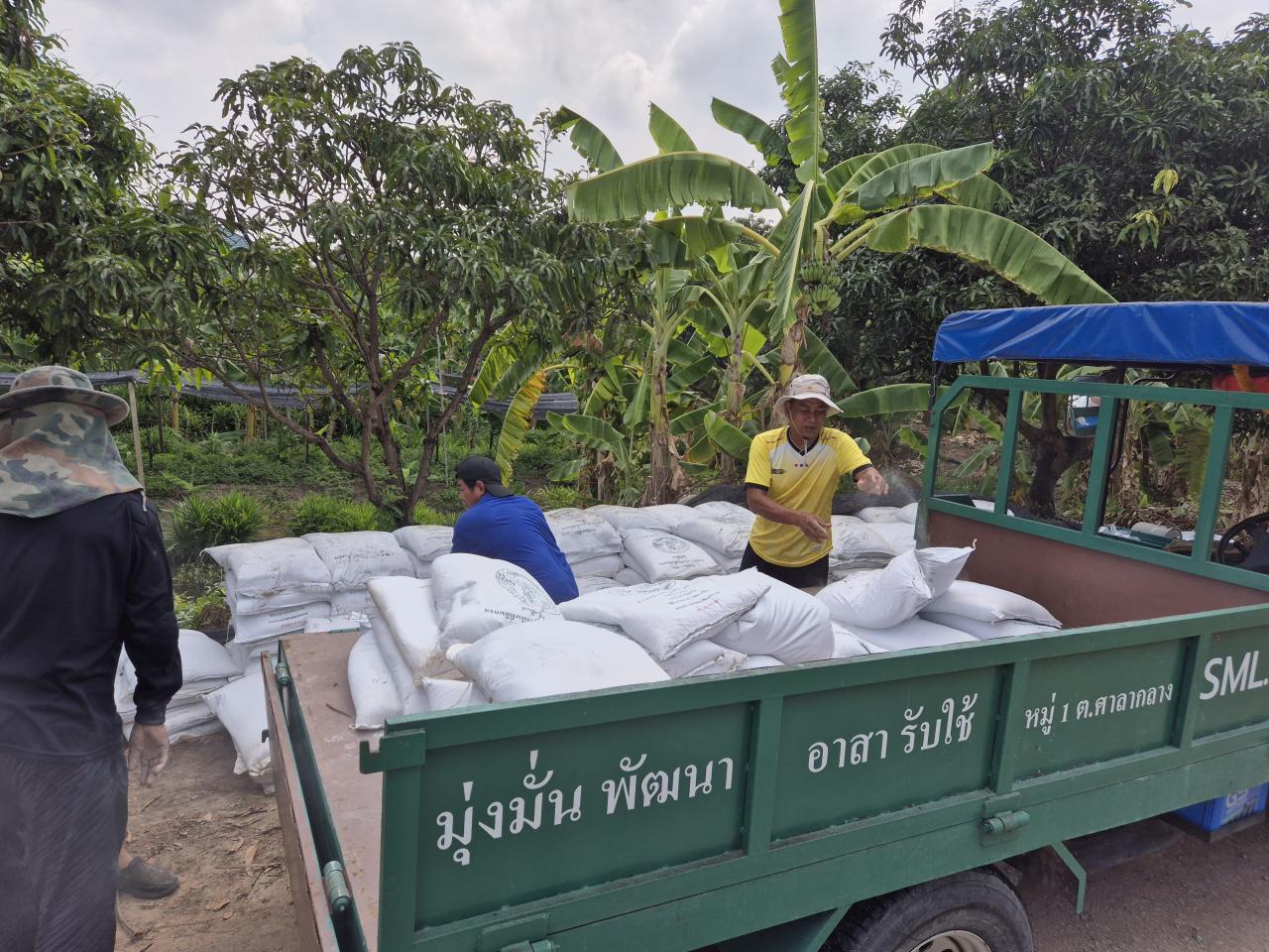 ภาพประกอบที่ 3