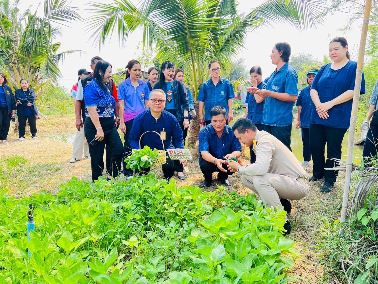 ภาพประกอบที่ 7