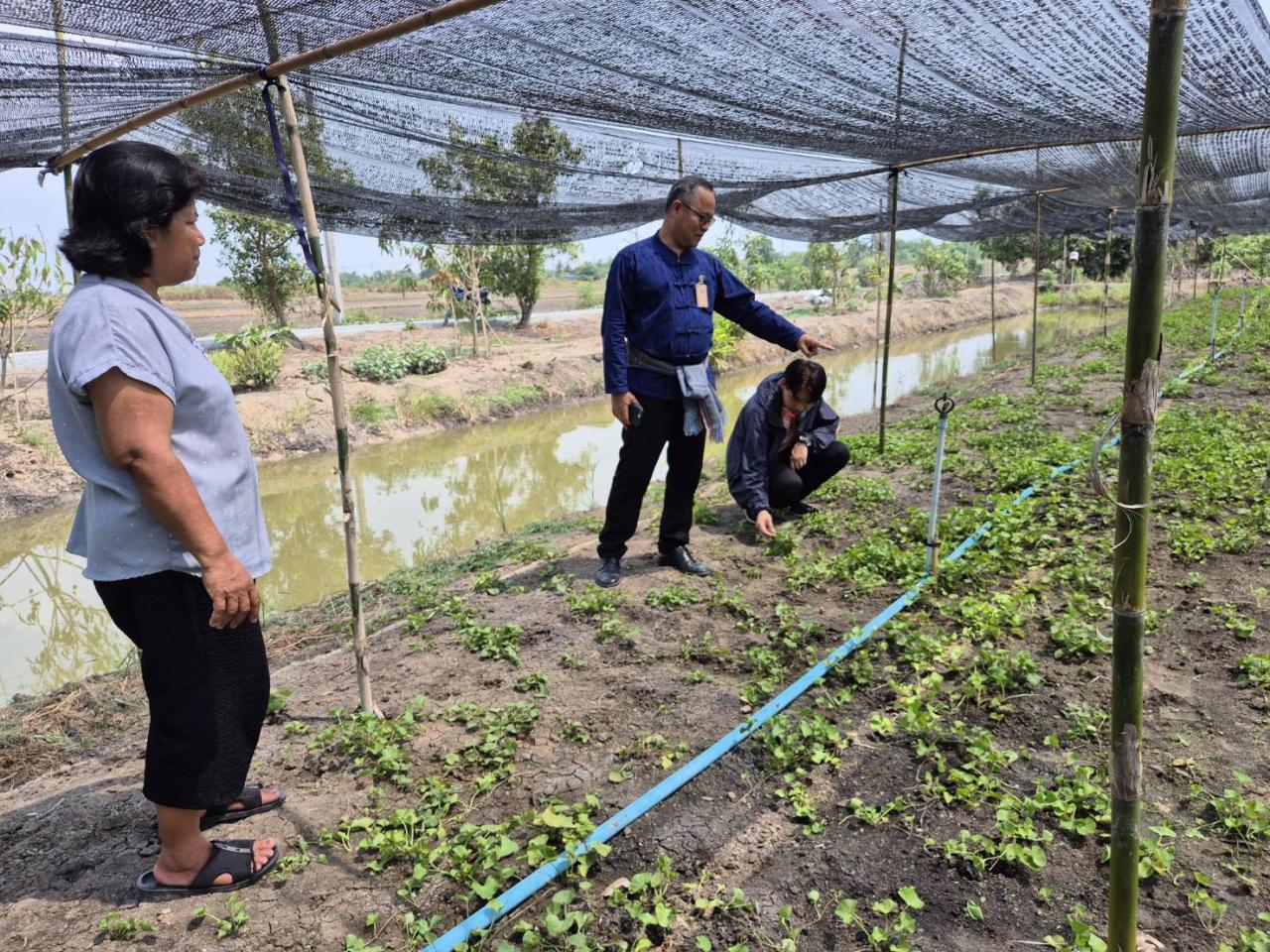 ภาพประกอบที่ 2