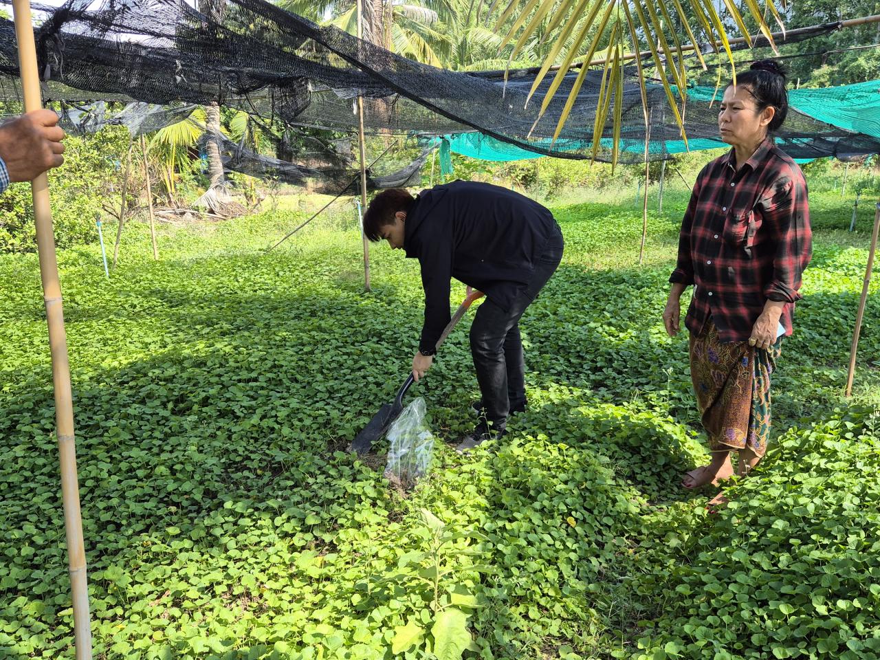 ภาพประกอบที่ 3