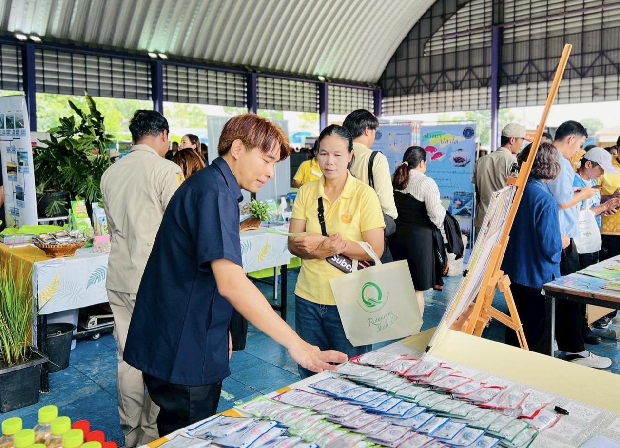 ภาพประกอบที่ 5