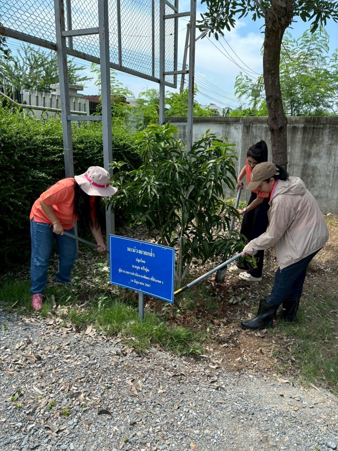 ภาพประกอบที่ 0