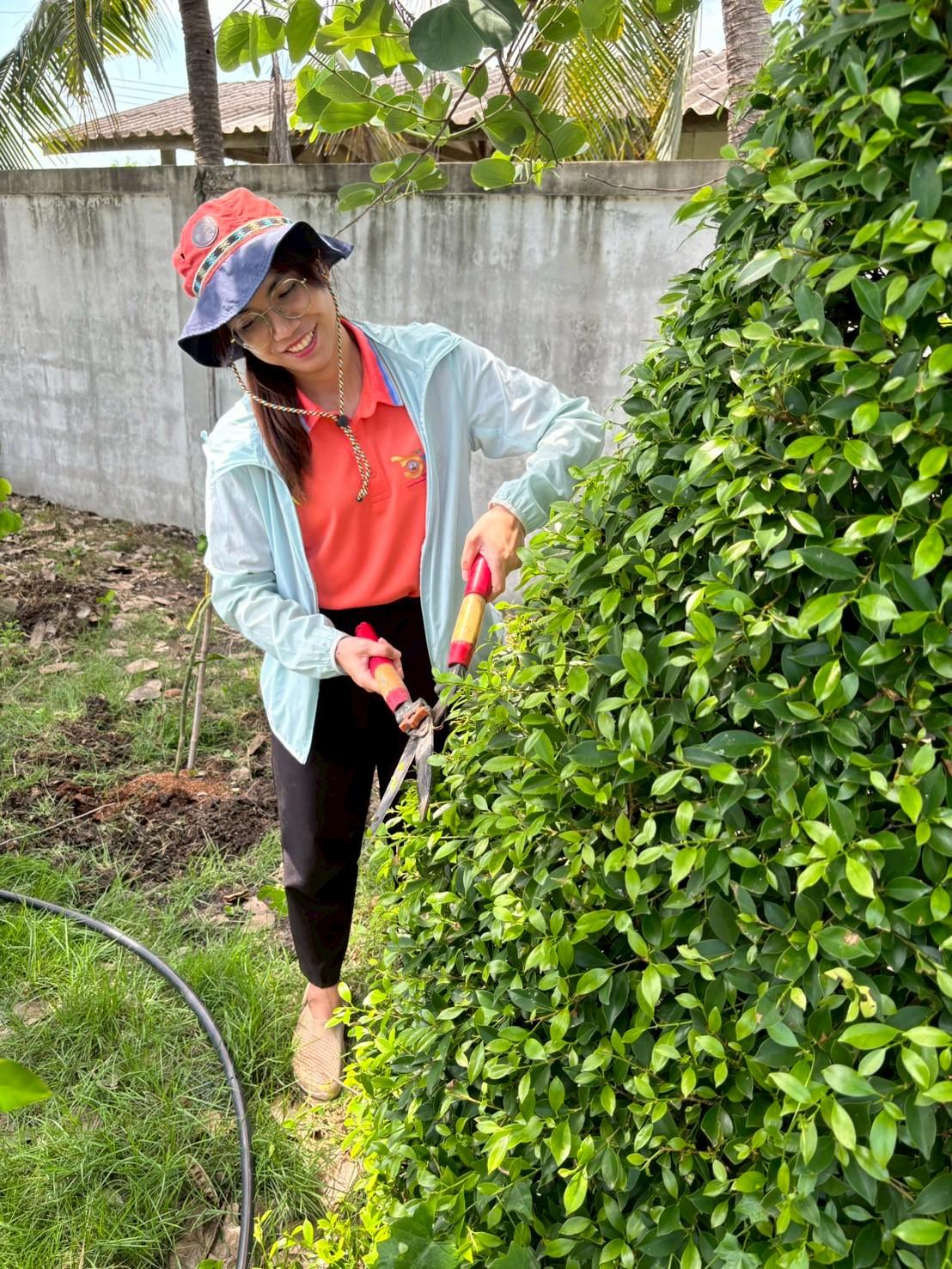 ภาพประกอบที่ 2