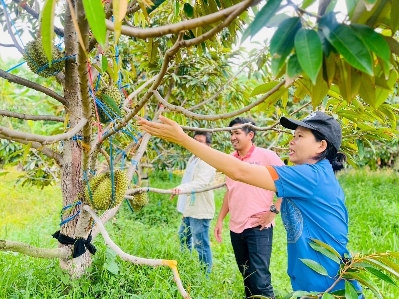 ภาพประกอบที่ 2