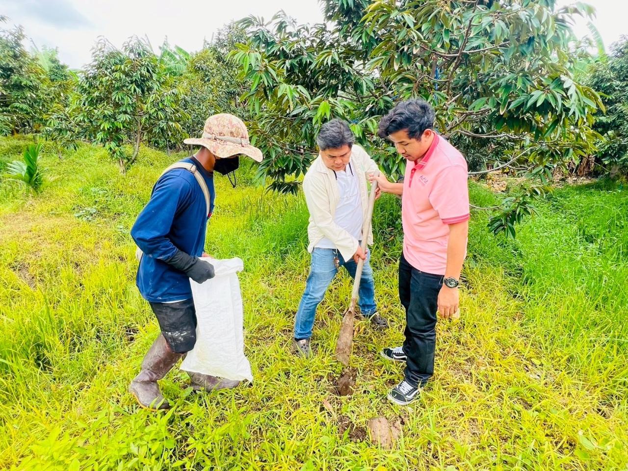 ภาพประกอบที่ 3