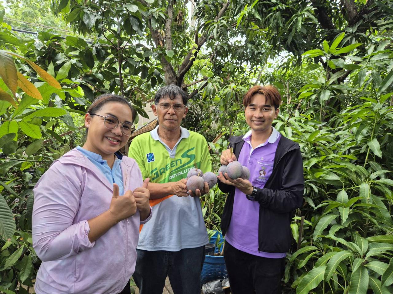 ภาพประกอบที่ 1