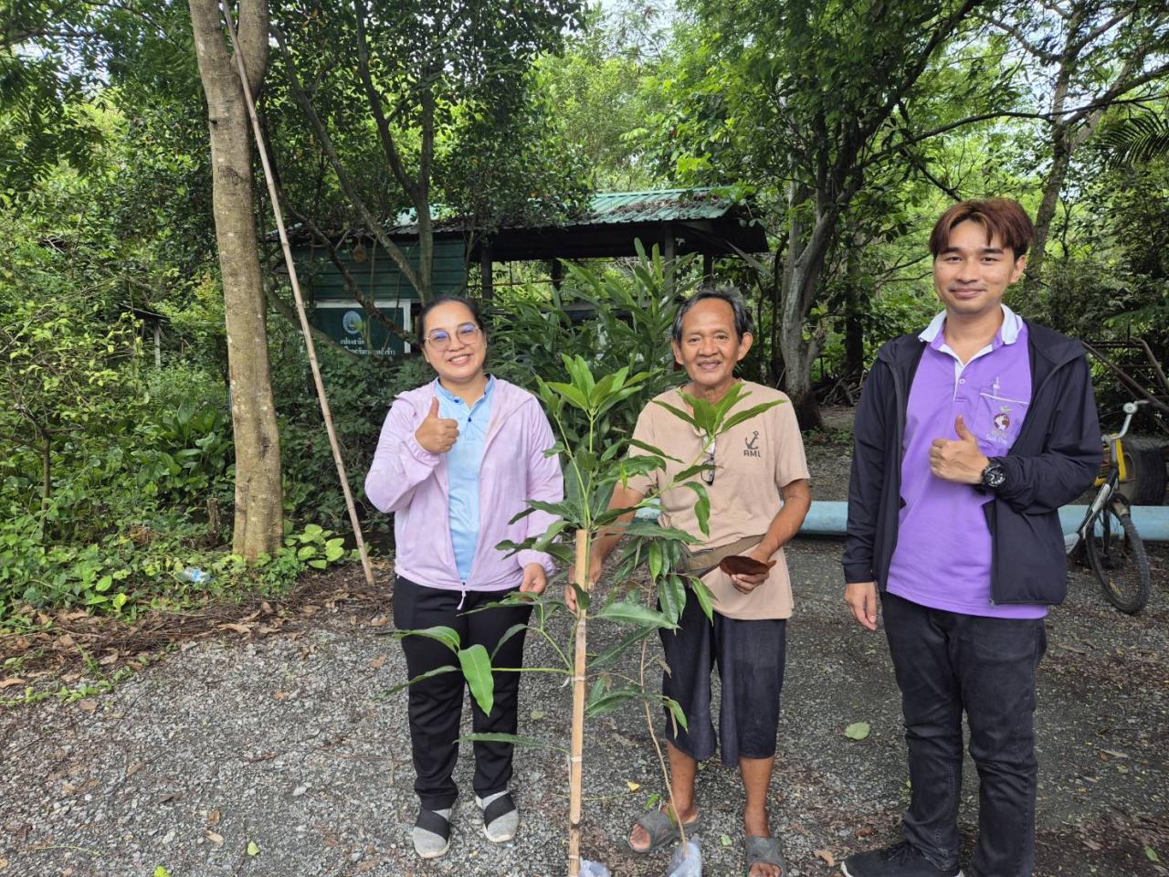 ภาพประกอบที่ 3