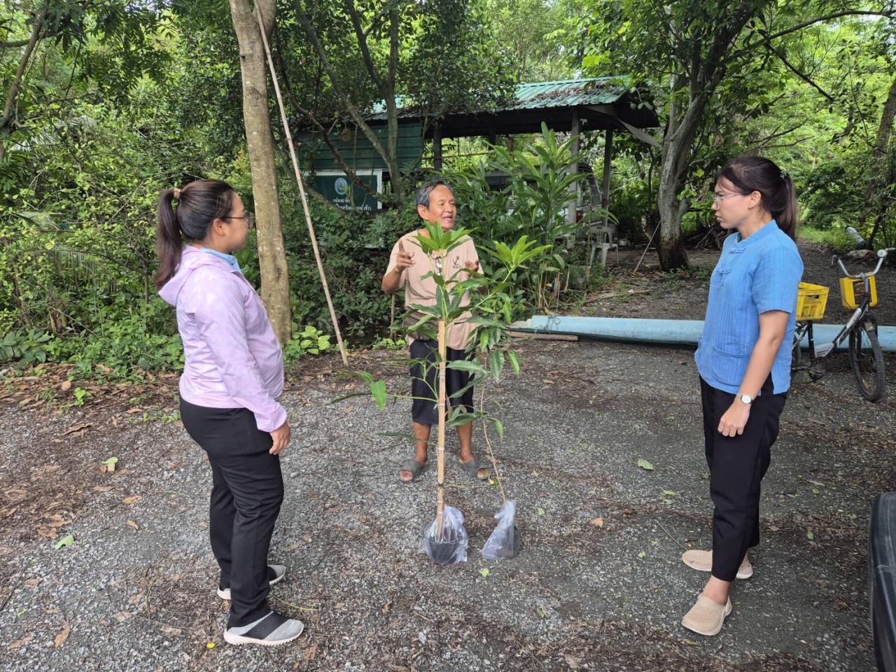 ภาพประกอบที่ 4