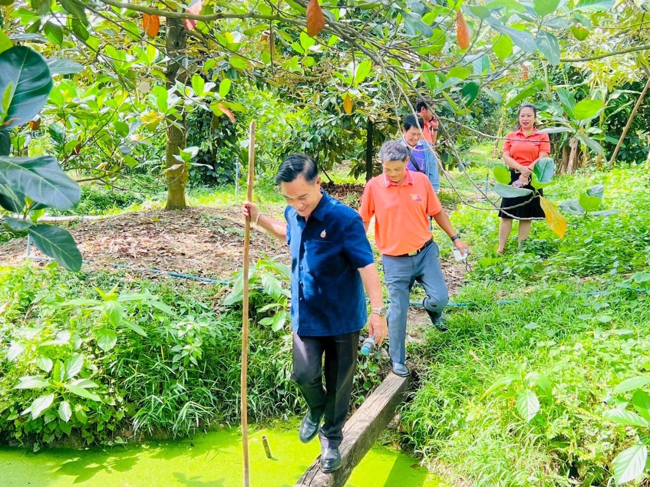 ภาพประกอบที่ 0