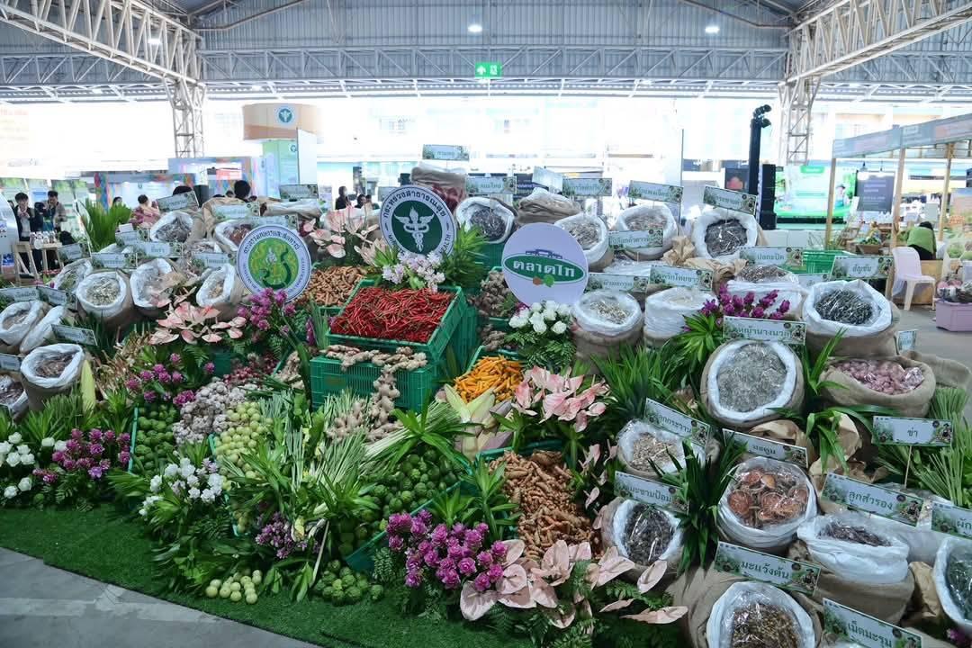 ภาพประกอบที่ 7