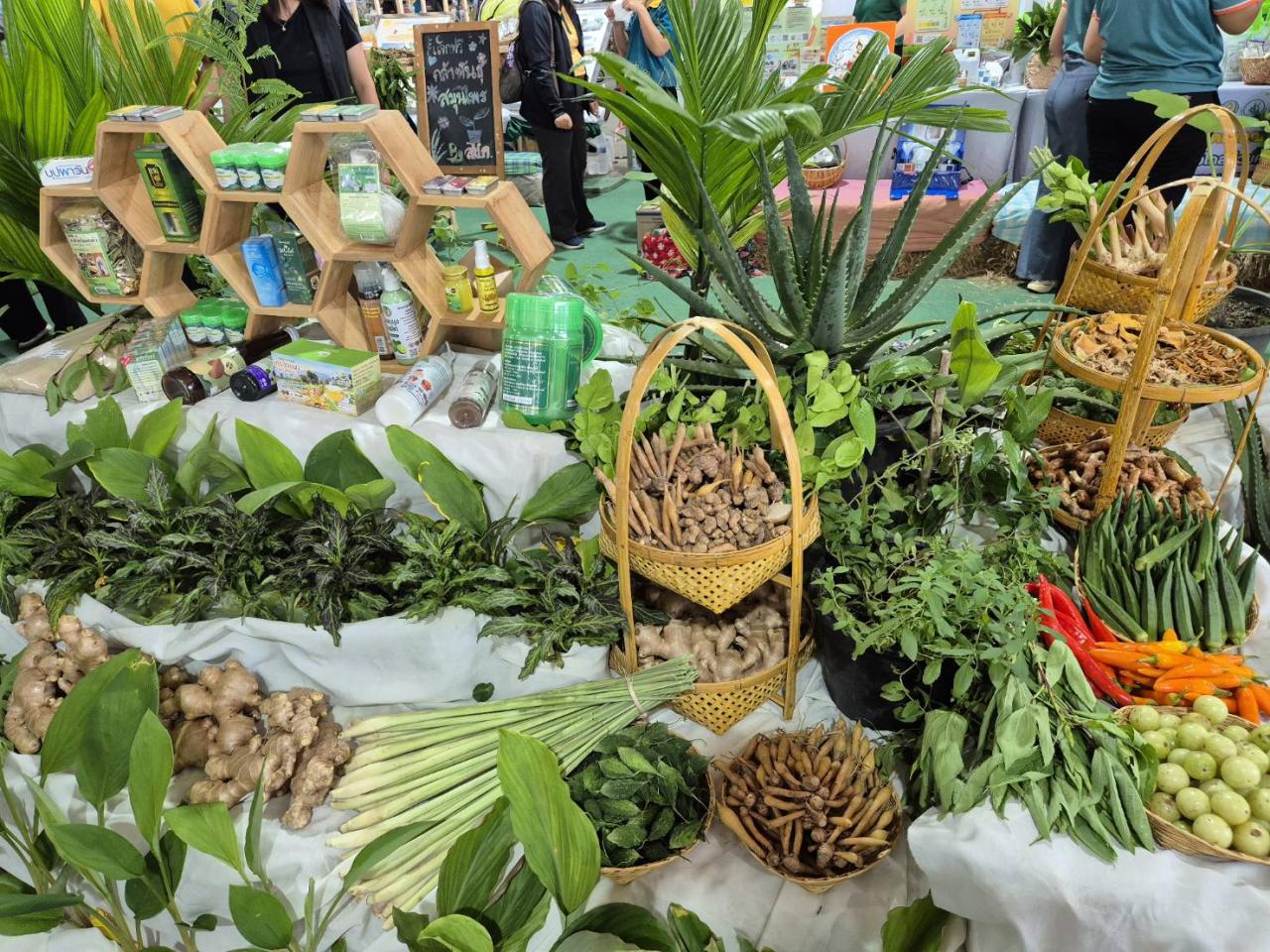 ภาพประกอบที่ 8