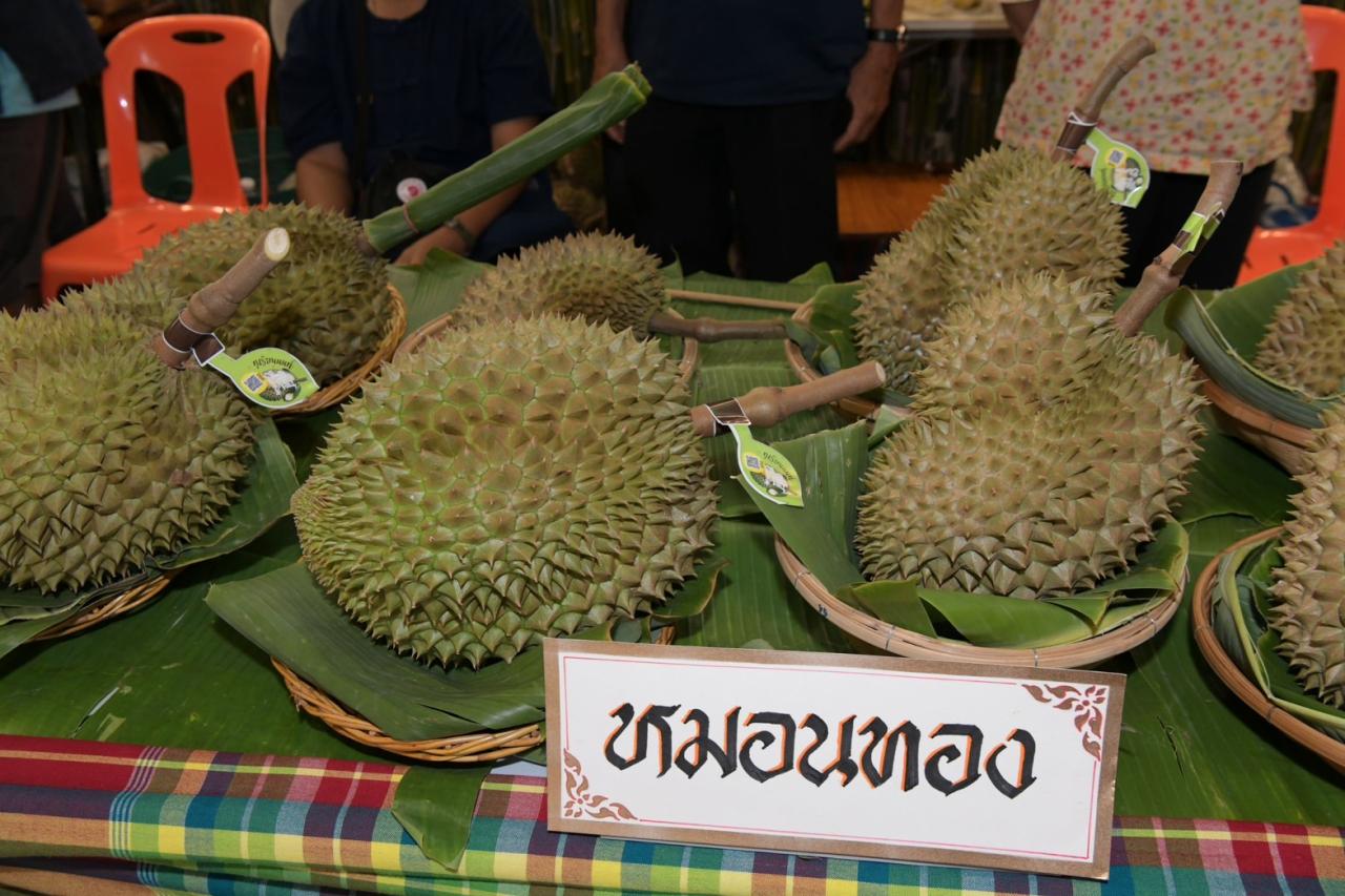 ภาพประกอบที่ 4