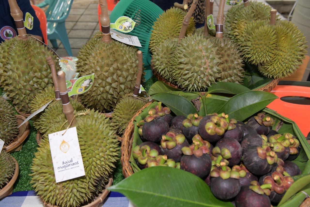 ภาพประกอบที่ 5