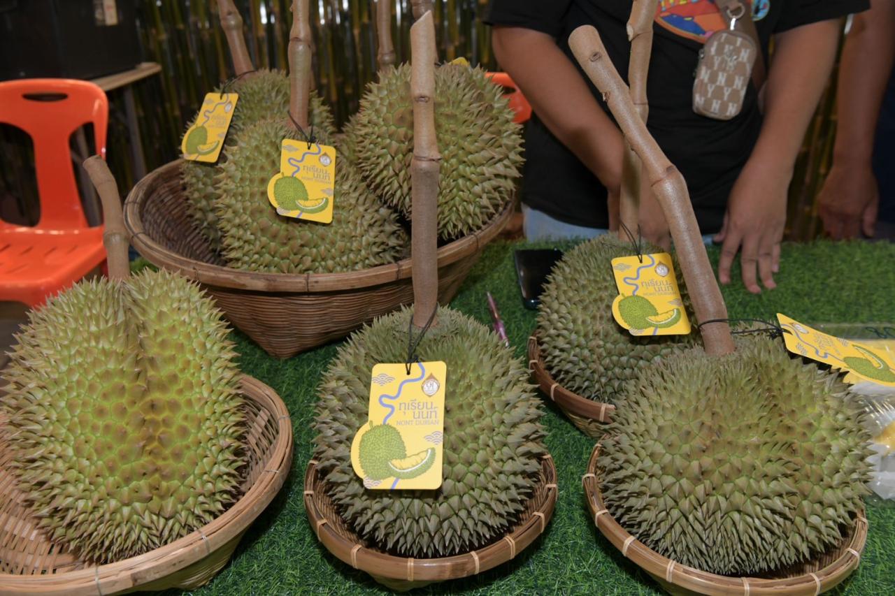 ภาพประกอบที่ 6