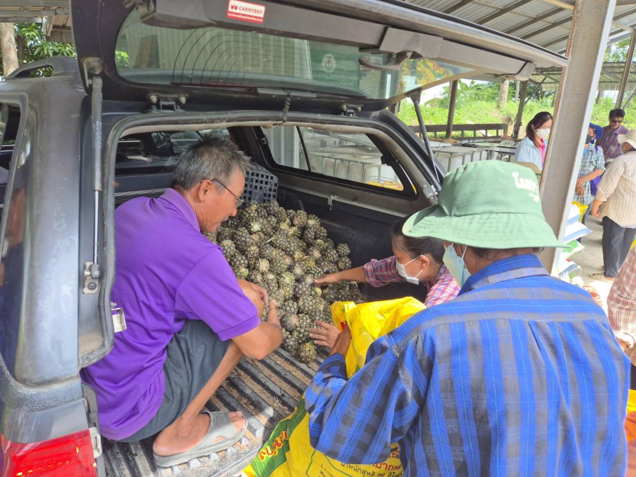 ภาพประกอบที่ 1