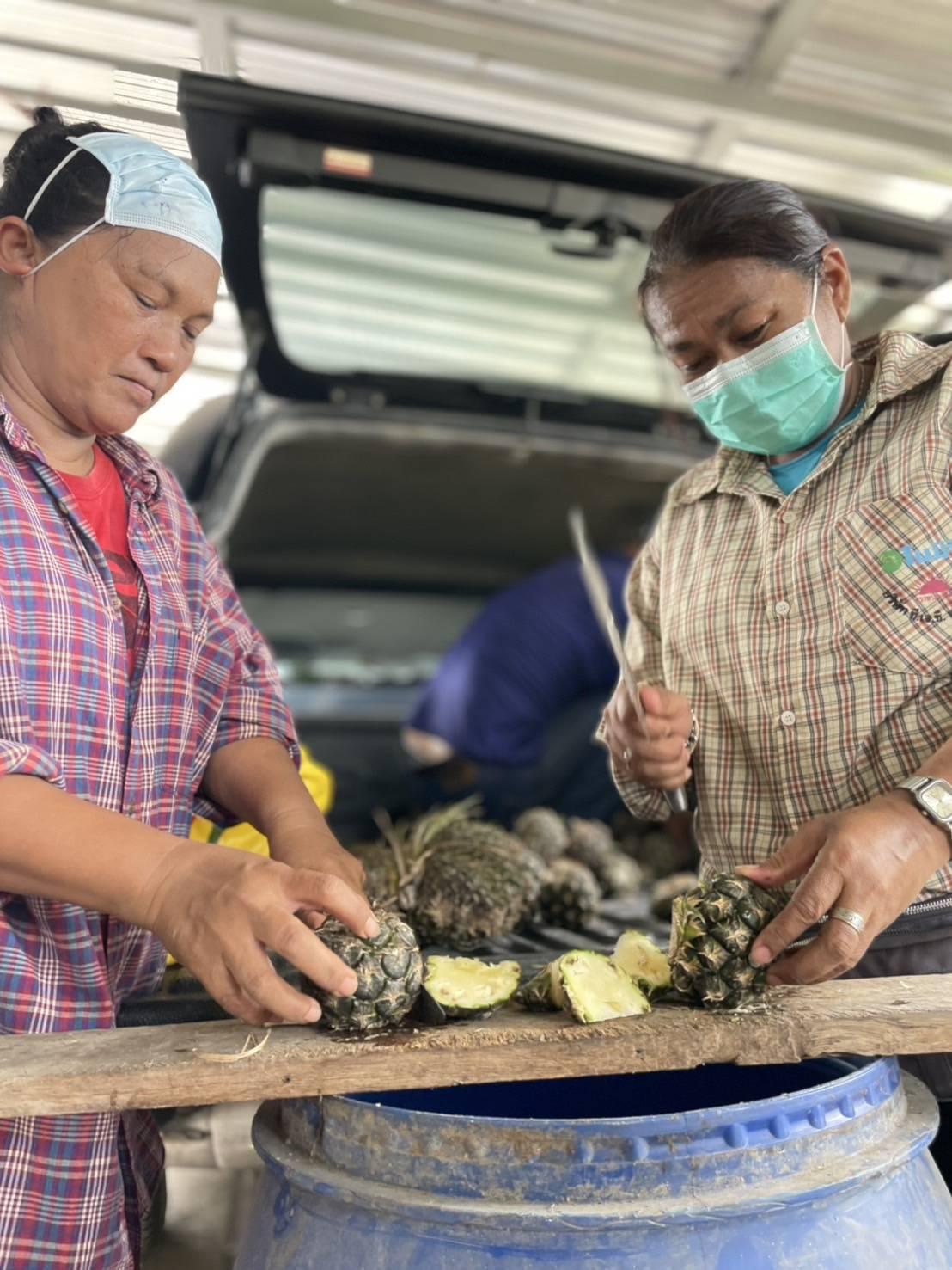 ภาพประกอบที่ 5