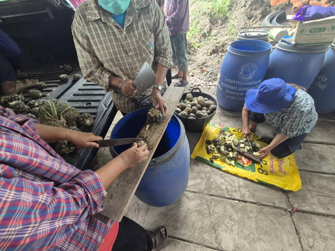 ภาพประกอบที่ 6