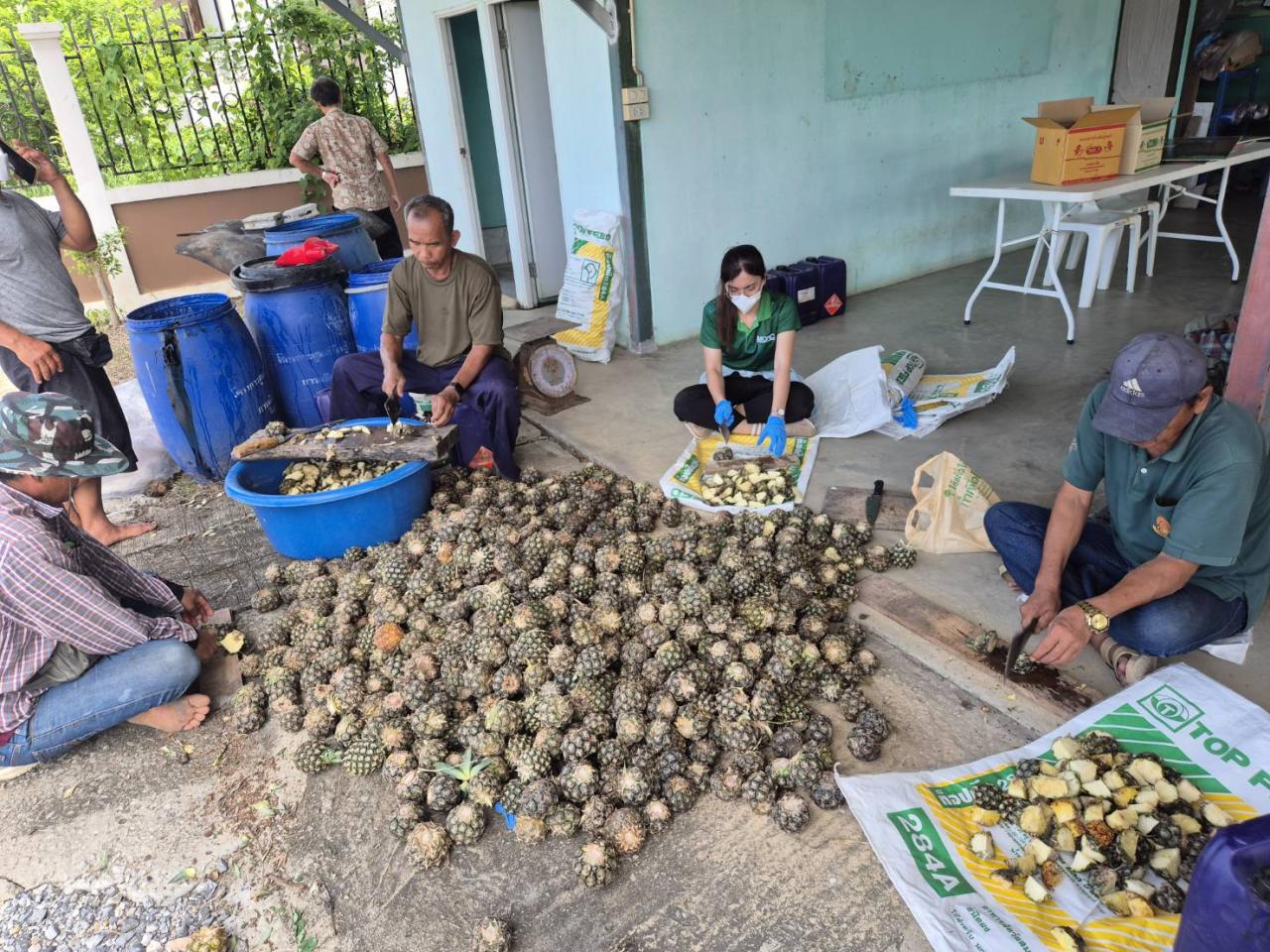 ภาพประกอบที่ 3