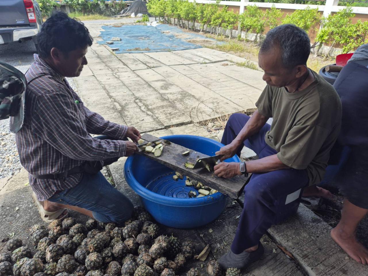 ภาพประกอบที่ 5