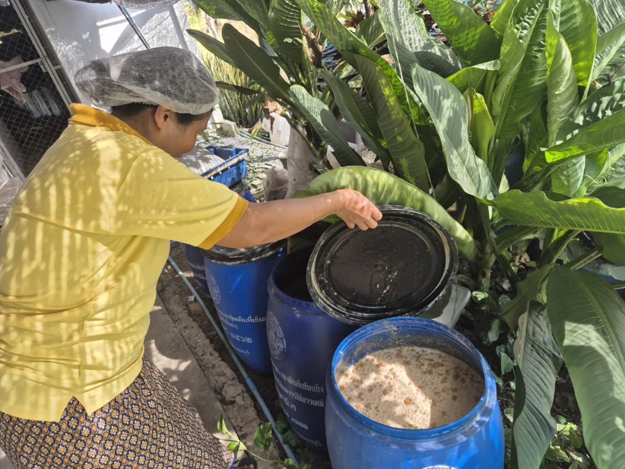 ภาพประกอบที่ 0