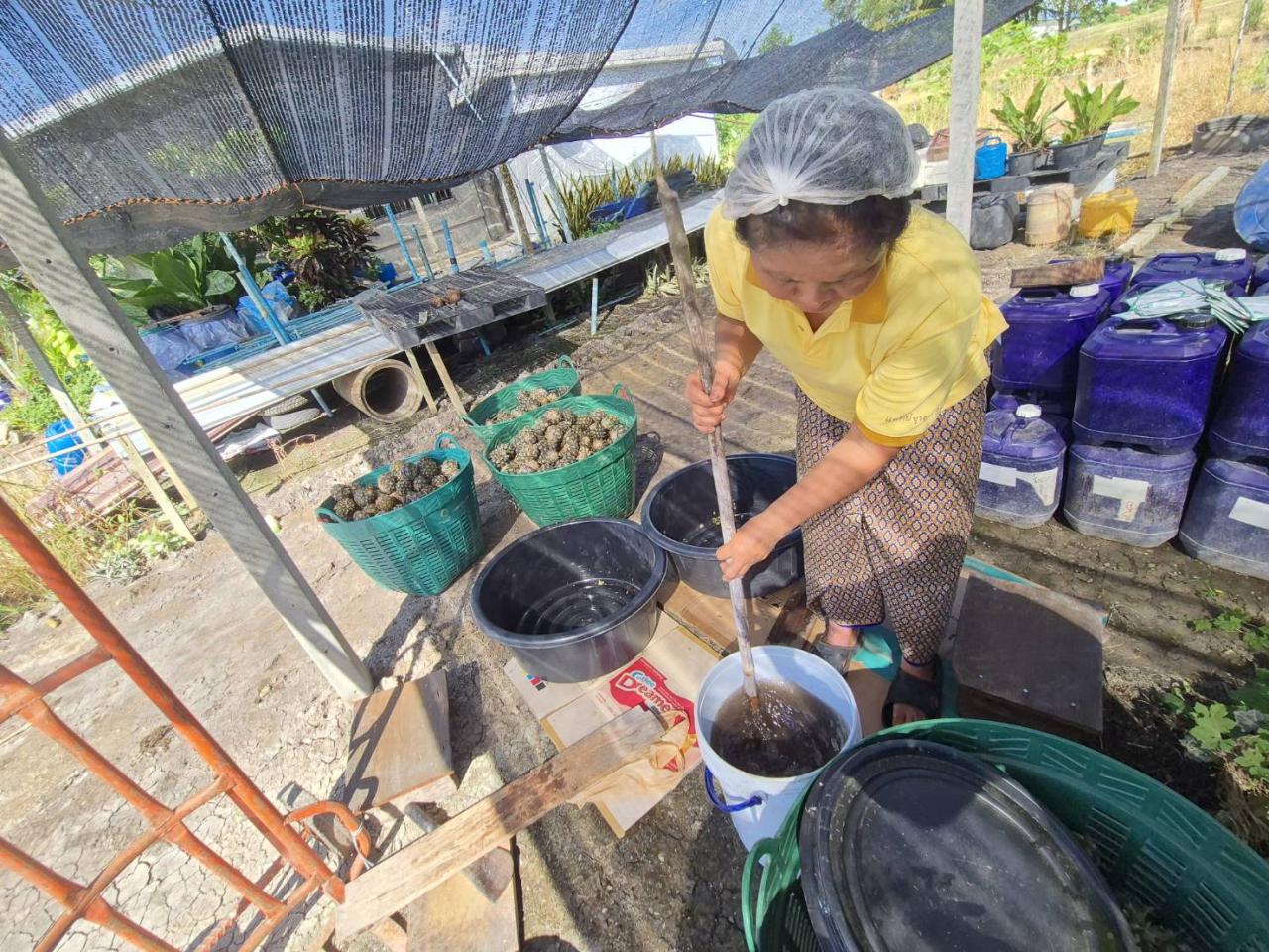 ภาพประกอบที่ 3