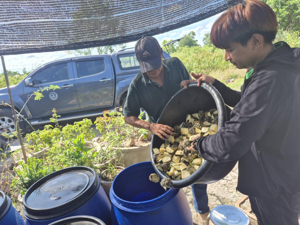 ภาพประกอบที่ 5