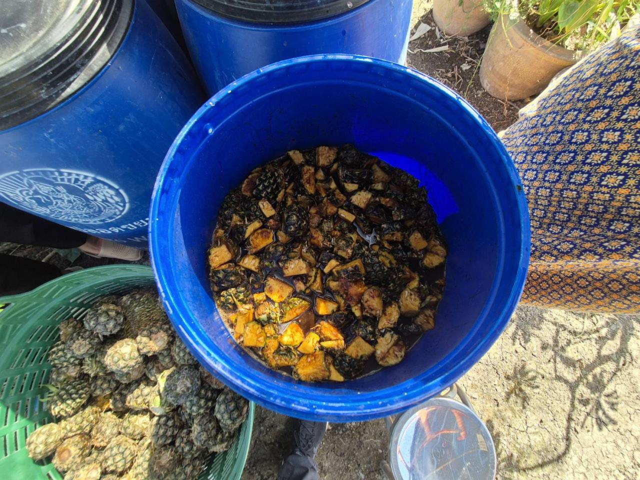 ภาพประกอบที่ 7