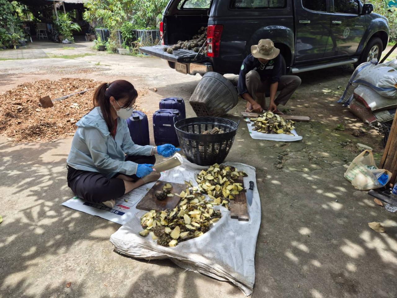 ภาพประกอบที่ 4