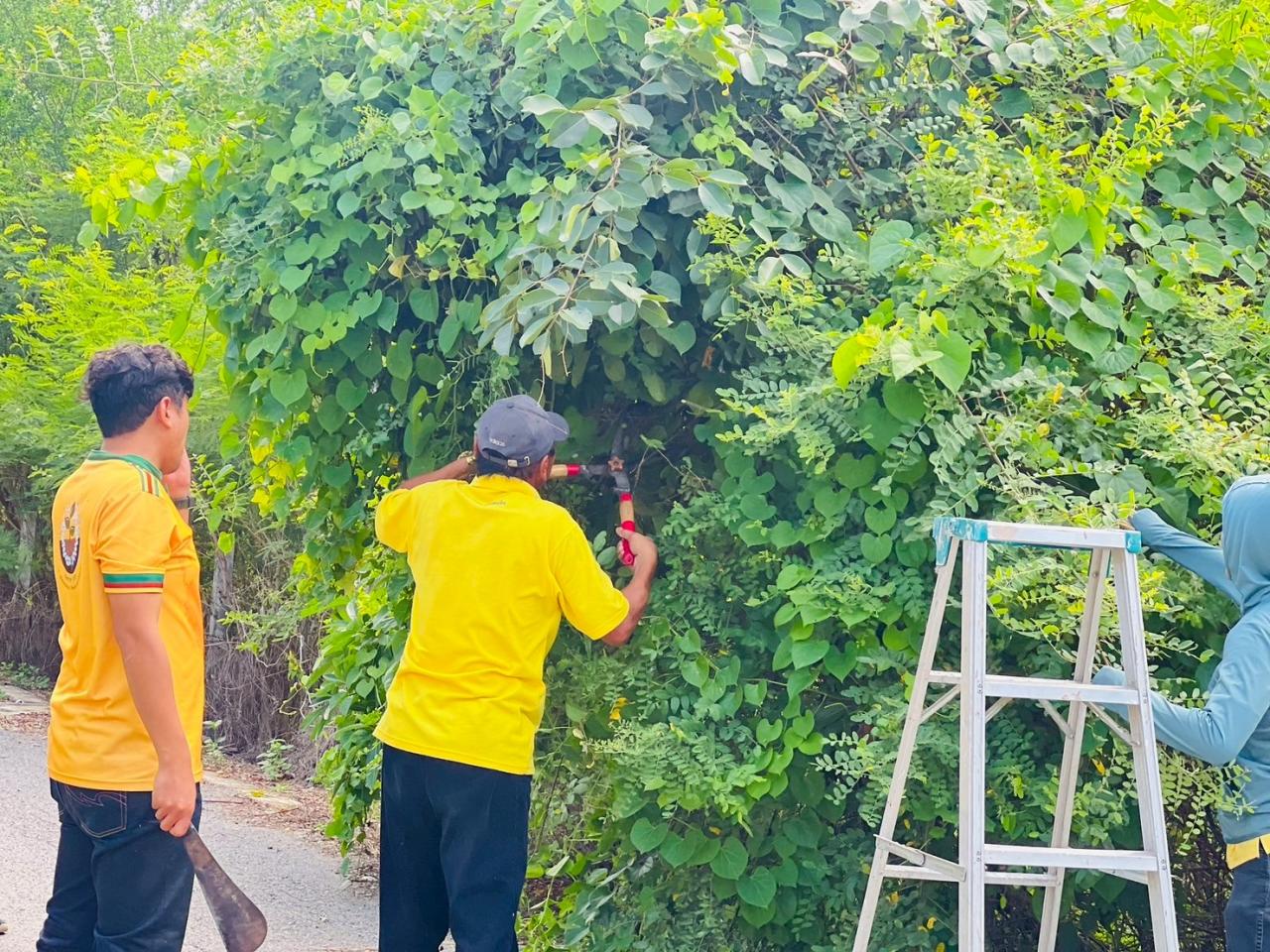 ภาพประกอบที่ 2