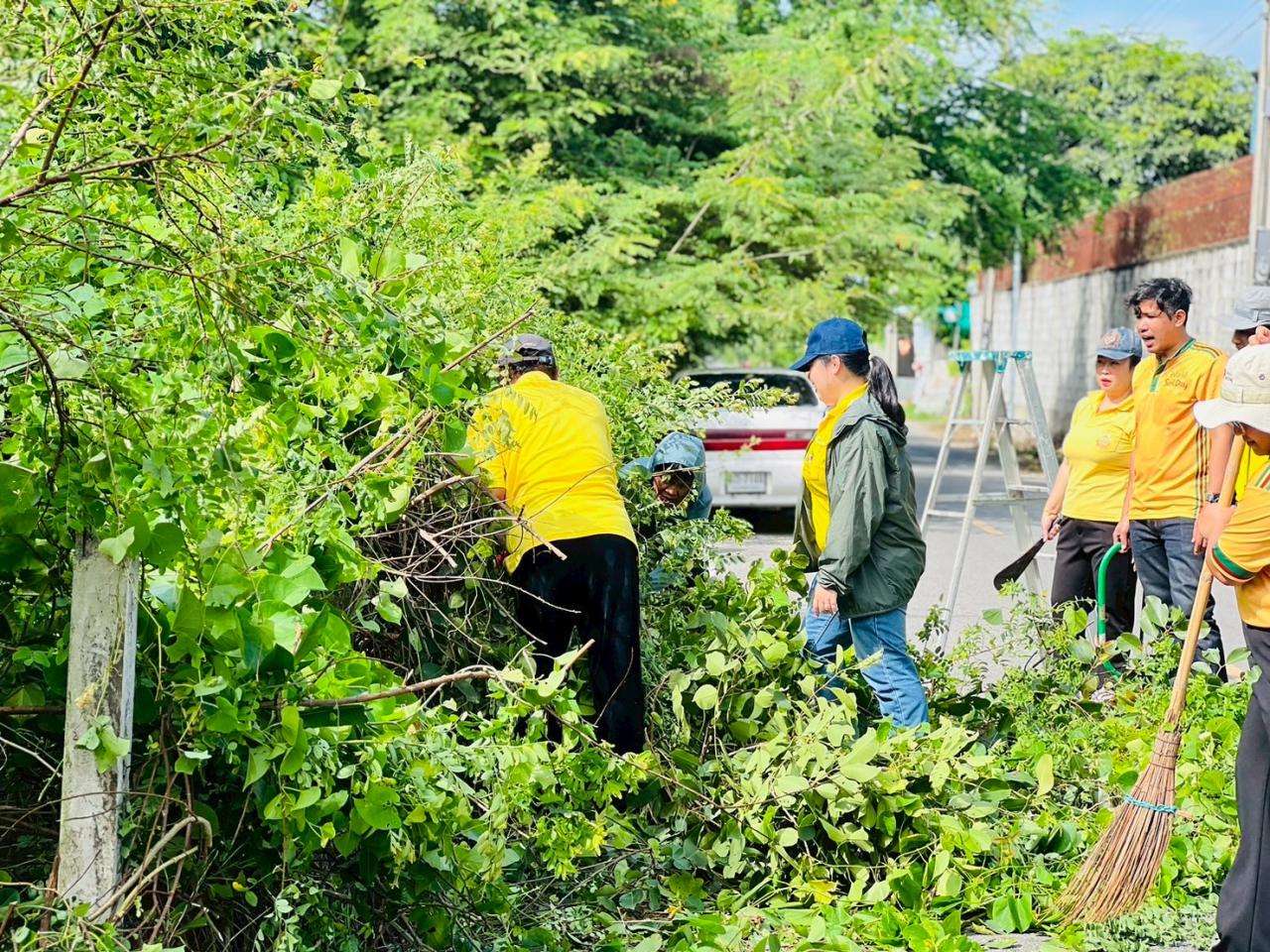 ภาพประกอบที่ 3