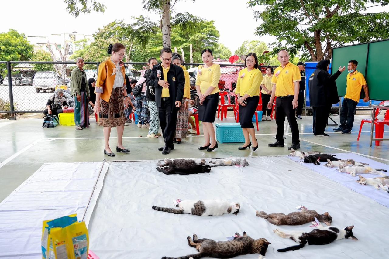 ภาพประกอบที่ 5