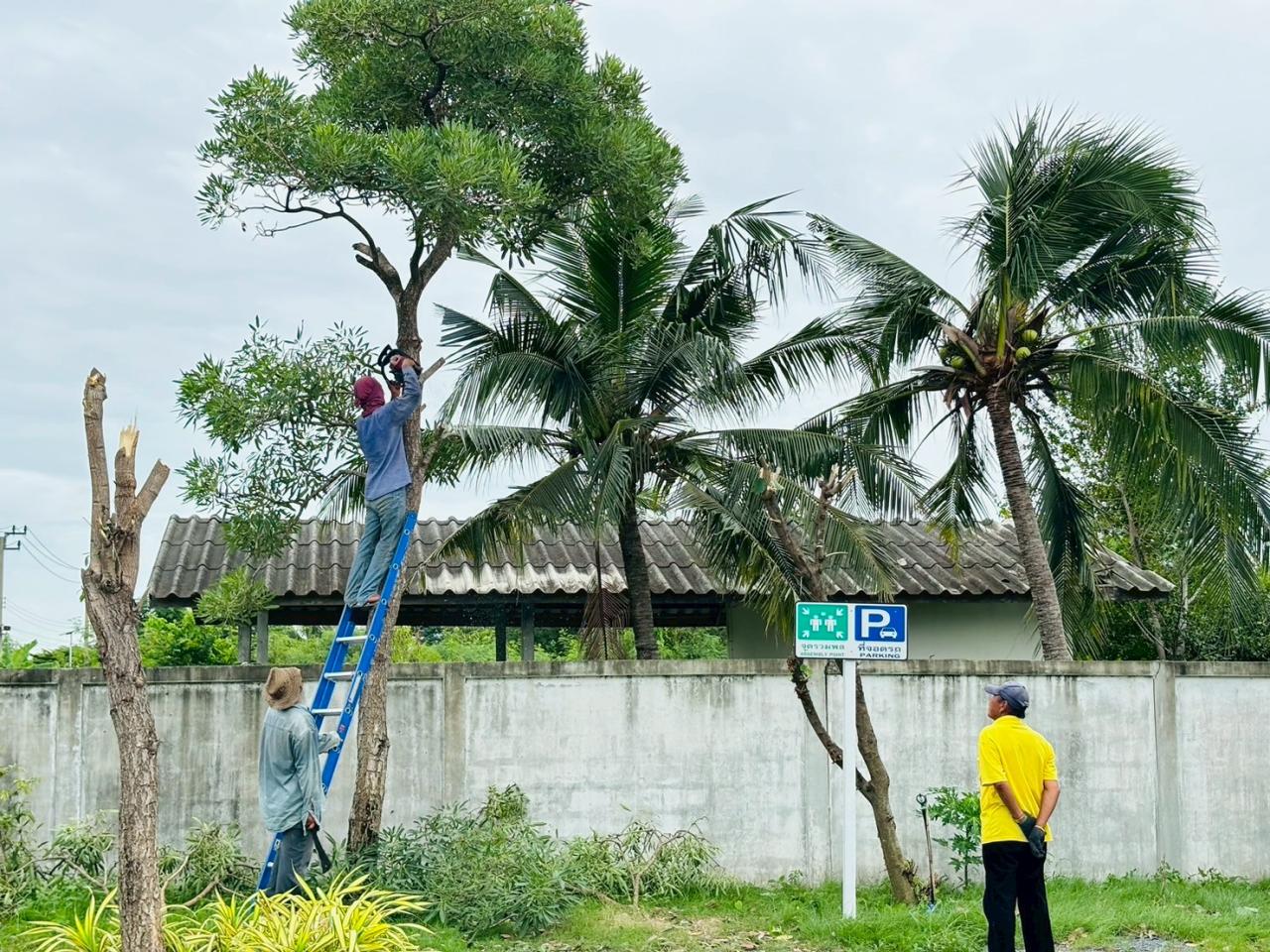 ภาพประกอบที่ 6