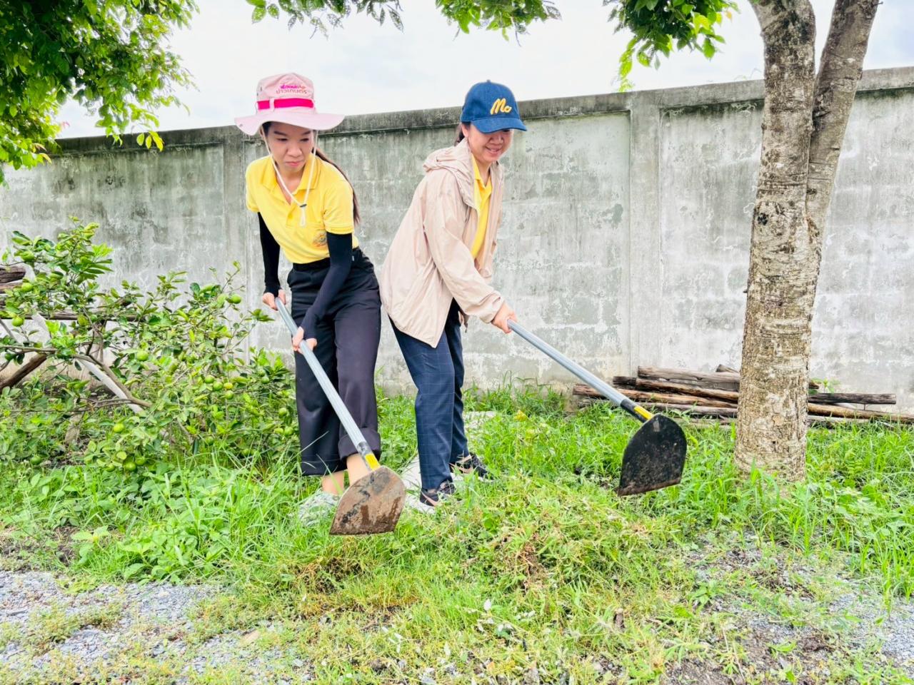 ภาพประกอบที่ 7