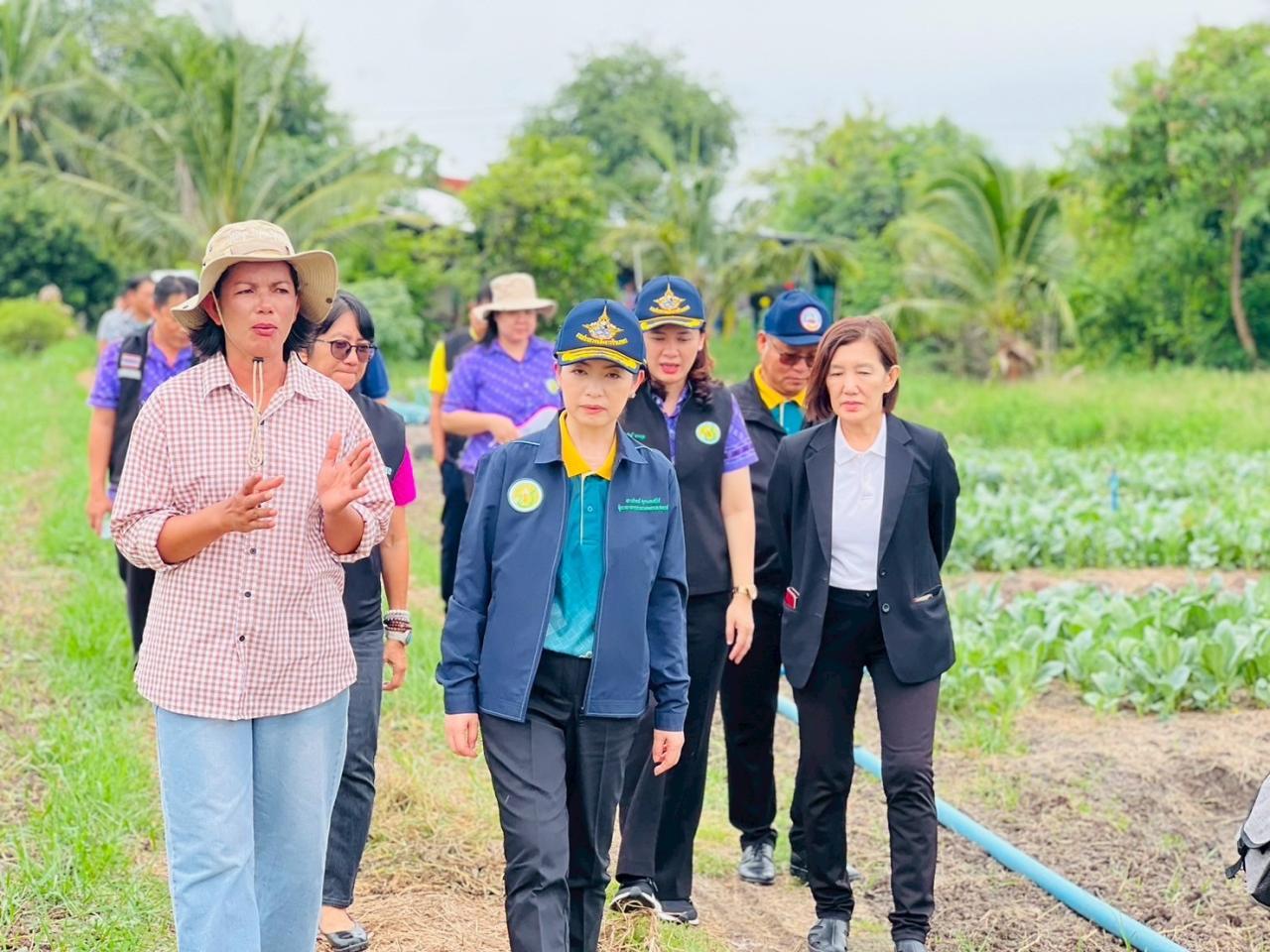ภาพประกอบที่ 0