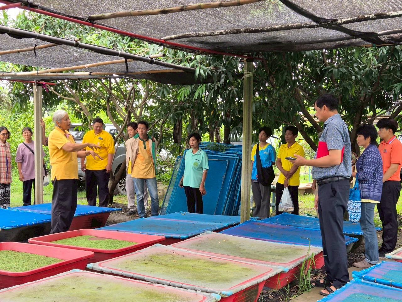 ภาพประกอบที่ 6