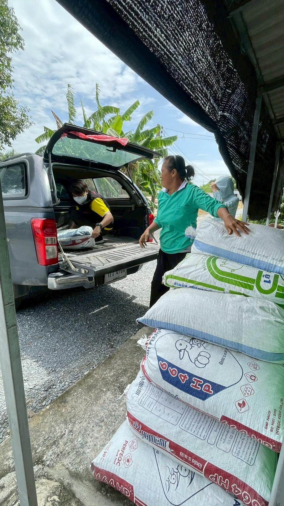 ภาพประกอบที่ 2