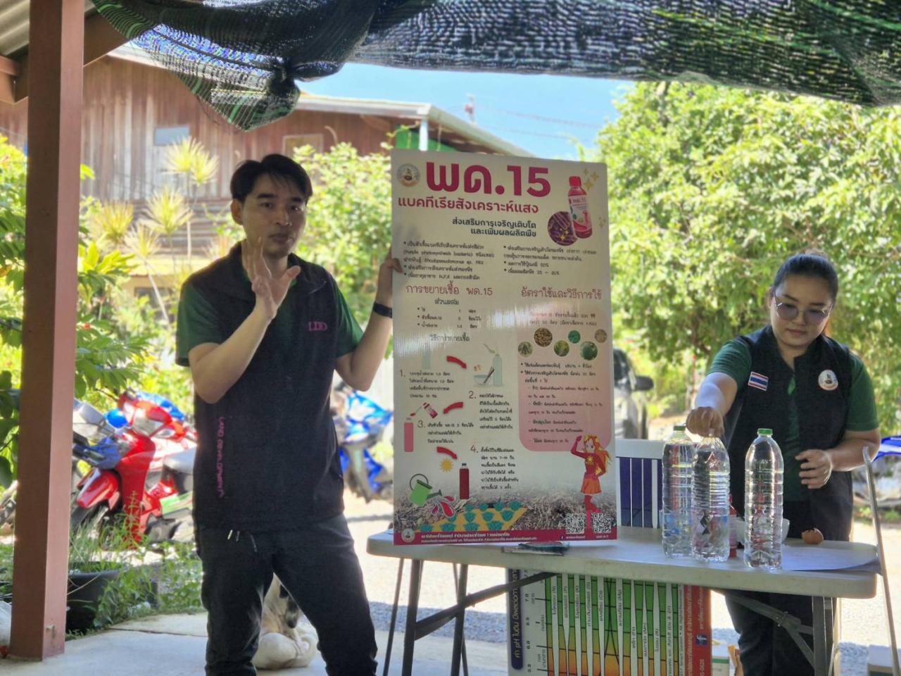 ภาพประกอบที่ 1