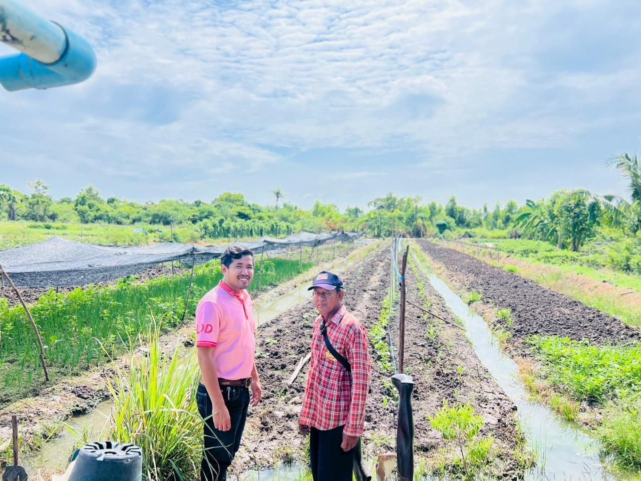 ภาพประกอบที่ 0