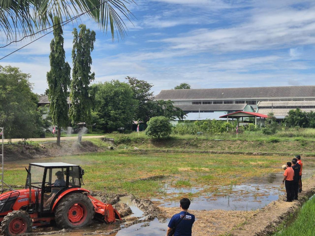 ภาพประกอบที่ 5
