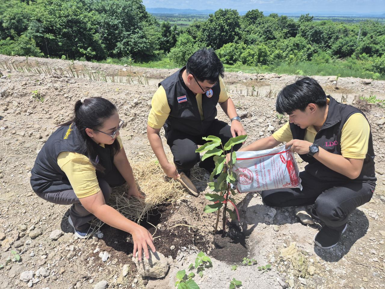 ภาพประกอบที่ 6