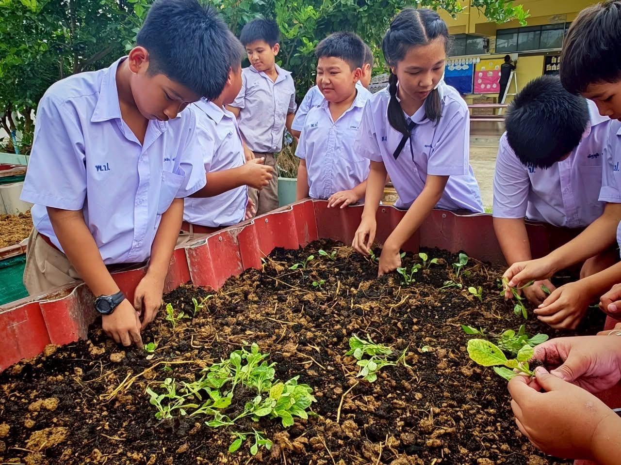 ภาพประกอบที่ 5